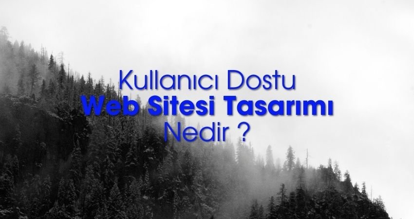 Kullanıcı Dostu Web Sitesi Tasarımı Nedir